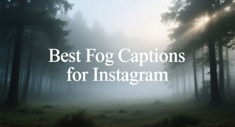 Best Fog Captions for Instagram | Short, Funny & Romantic Ideas