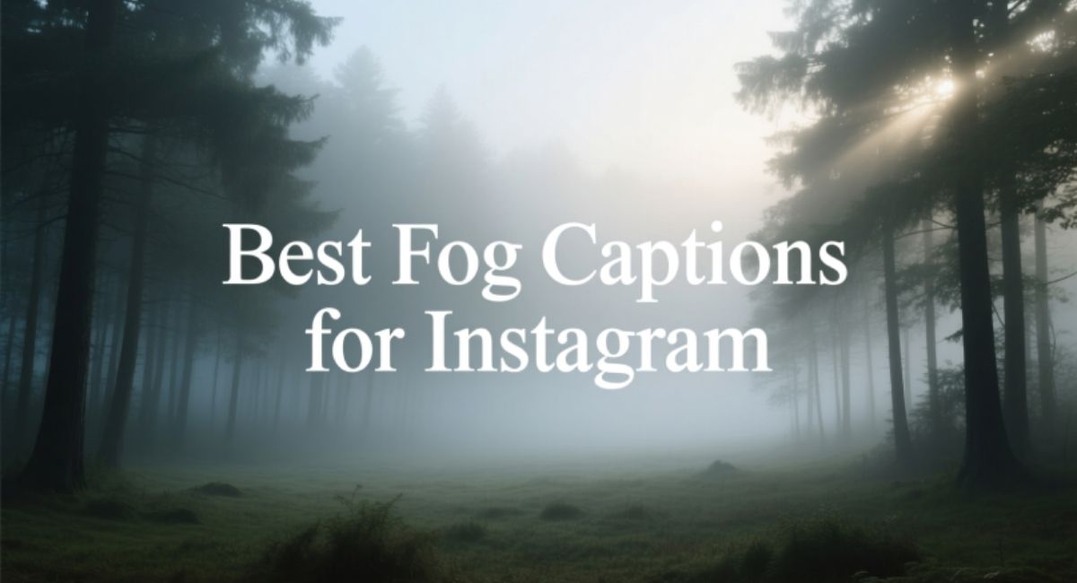 Best Fog Captions for Instagram | Short, Funny & Romantic Ideas